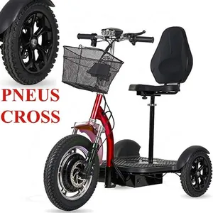 TRIBO 500 Trottinette électrique 3 roues stable pour séniors et PMR st...Vendu parcdiscount