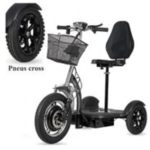 TRIBO 500 Trottinette électrique 3 roues stable pour séniors et PMR st...Vendu parcdiscount