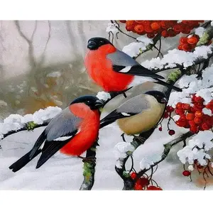 Figured'Art Peinture par Numéro Adulte Rouge gorge sous la neige - Activité Manuelle Kit de Loisir Créatif DIY Numéro d'Art Complet - 40x50cm sans châssis en bois pas cher