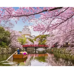 Figured'Art Peinture par Numéro Adulte Fleurs de cerisiers au Japon - Kit de Loisir Créatif DIY Numéro d'Art - 40x50cm sans châssis pas cher