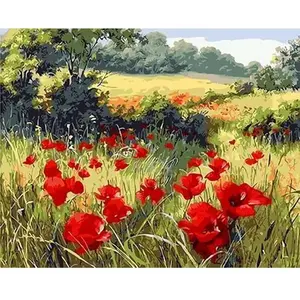 Figured'Art Peinture par Numéro Adulte avec Cadre Coquelicots champêtres - Activité Manuelle Kit de Loisir Créatif DIY Numéro d'Art Complet - 40x50cm toile tendue sur châssis pas cher