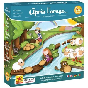 Jeu de société famille et enfants Cartamundi Zoe Yateka après l'orage pas cher