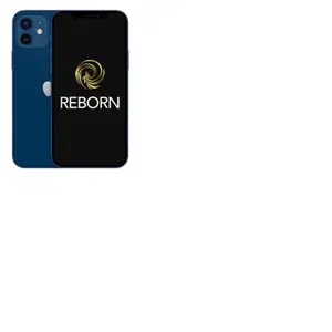 iPhone 12 6,1'' 5G 128Go Double SIM Bleu Grade A Reborn pas cher