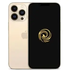 13 Pro 6,1" 5G Double micro SIM 128 Go Or Grade A Reborn pas cher