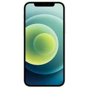 Apple Iphone 12 Mini 64go Vert Grade Eco pas cher