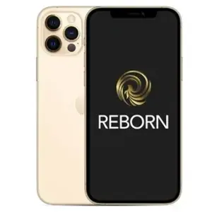 Apple iPhone 12 Pro 6,1" 5G 128 Go Double SIM Or Grade A Reborn pas cher