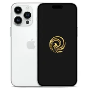 14 Pro 5G 128 Go Gris Grade A Reborn pas cher