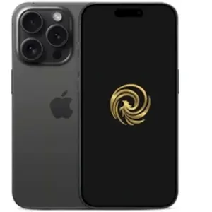 Reborn 15 Pro Noir 128Go Grade A pas cher