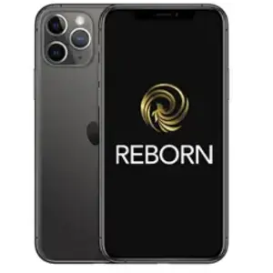 iPhone 11 Pro - Reborn - 256Go - Graphite - Grade A pas cher