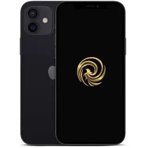 Reborn Apple Apple iPhone 12 64 Go Noir pas cher