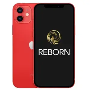 Comparateur de prix : REBORN - IP1264R