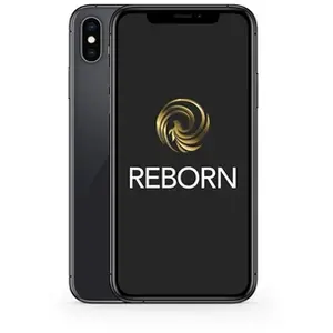 Apple iPhone X 5,8" 64 Go Nano SIM Gris sidéral Grade A Reborn pas cher