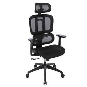 Oraxeat RG600 Noir pas cher
