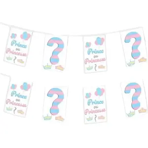 Guirlande fanions en papier "Prince ou Princesse ?" - 5m pas cher