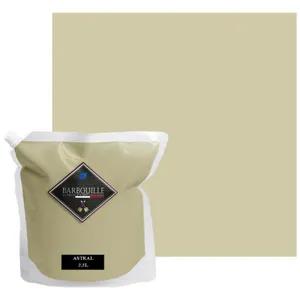 BARBOUILLE Peinture lessivable acrylique velouté   murs et plafondsVendu parcdiscount