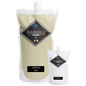 BARBOUILLE Peinture-résine bi-composants, pour carrelages, faiences, s... pas cher