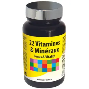 Comparateur de prix : NutriExpert 22 Vitamines et Minéraux 60 gélules