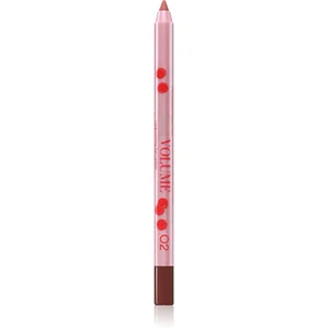 Vivienne Sabó Le Grand Volume crayon contour lèvres teinte 02 1.35 g pas cher
