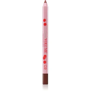 Vivienne Sabó Le Grand Volume crayon contour lèvres teinte 03 1.35 g pas cher