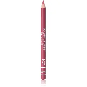 Vivienne Sabó Jolies Lèvres crayon contour lèvres teinte 107 1.4 g pas cher