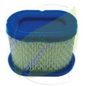 Filtre à air compatible de tondeuse BRIGGS & STRATTON 123602, 123607, 123672 pas cher