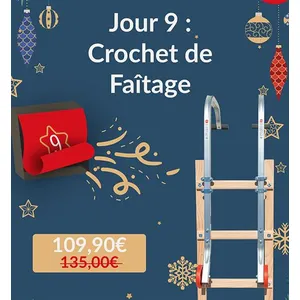 Comparateur de prix : Hailo Crochet échelle de toit