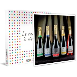 SMARTBOX - Coffret Cadeau - DÉGUSTATION DE CHAMPAGNE ET VISITE DE DOMA... pas cher