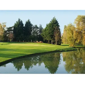 Journée au golf avec repas pour 2 à Gif-sur-Yvette