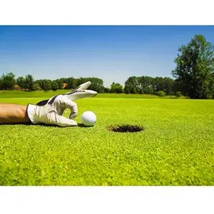 Journée au Golf de Gonesse avec repas pour 2 personnes