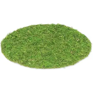 RueDeLaFete set de table mousse végétale nature 35cm vert - artifetes 78576 pas cher