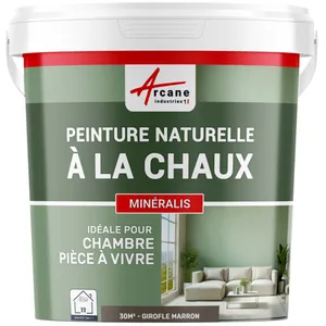 Comparateur de prix : ARCANE INDUSTRIES Peinture a la chaux naturelle : NUANCES MINERALES CHAUX Girofle - marron - kit 30 m² - 5 kg