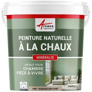 Comparateur de prix : Peinture a la chaux naturelle : NUANCES MINERALES CHAUX Muscade - gr.....