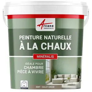 Comparateur de prix : Peinture a la chaux naturelle pour décoration intérieure sans émanatio...