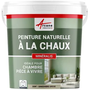 Comparateur de prix : ARCANE INDUSTRIES Peinture a la chaux naturelle : NUANCES MINERALES CHAUX Gingembre - grege - kit 30 m² - 5 kg