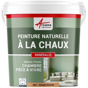 Comparateur de prix : Peinture a la chaux naturelle pour décoration intérieure sans émanatio...