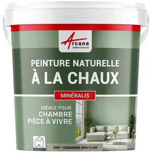 Comparateur de prix : Peinture a la chaux naturelle : NUANCES MINERALES CHAUX Coriandre - ...