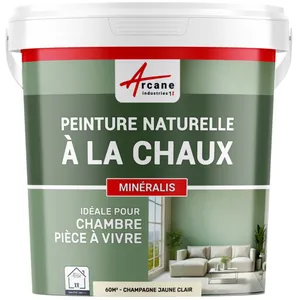 Comparateur de prix : ARCANE INDUSTRIES Peinture a la chaux naturelle :  NUANCES MINERALES CHAUX  Champagne - jaune clair - kit 60 m² - 2x5 kg