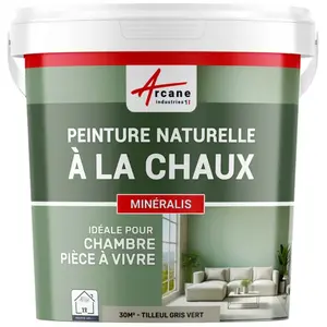 Comparateur de prix : Peinture a la chaux naturelle : NUANCES MINERALES CHAUX Tilleul - gr...