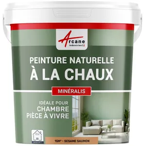 Comparateur de prix : ARCANE INDUSTRIES Peinture a la chaux naturelle :  NUANCES MINERALES CHAUX  Sesame - saumon - kit 15 m² - 2.5 kg