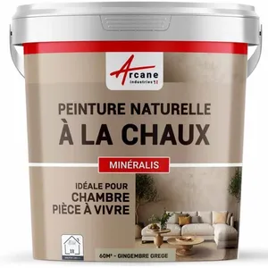 Comparateur de prix : ARCANE INDUSTRIES Peinture - ARCIND - NUANCES MINERALES CHAUX - Gingembre - grege - 60 m² - Mat