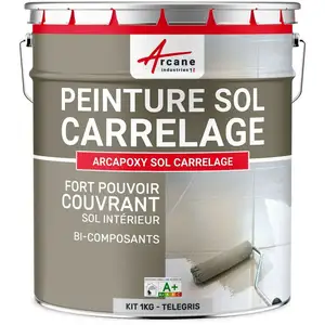 Comparateur de prix : Peinture résine carrelage sol - ARCAPOXY SOL CARRELAGE Ral 7047 Teleg...