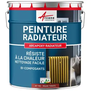 Comparateur de prix : Peinture Radiateur - Fonte acier alu chauffage RAL 6034 Turquoise Pas...