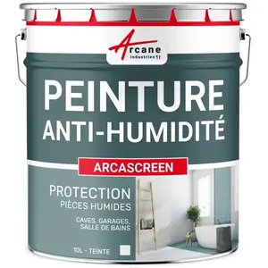 Peinture anti humidité anti moisissure salpêtre isolante ARCASCREEN ..... pas cher