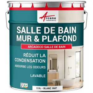Comparateur de prix : Peinture Salle de Bainpour Mur et Plafond, Anti Condensation : ARCASC...
