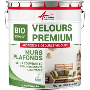 Comparateur de prix : Peinture mur et plafond satin velours biosourcée - 10 l (+ ou - 120m² par couche) Gris Telegris 4 - ral 7047 Arcane Industries