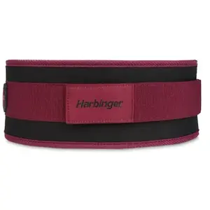 Comparateur de prix : Harbinger Ceinture De Levage De Poids Foam Core 4.5´´