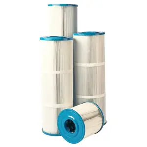 Comparateur de prix : Cartouche de filtration Poolex pour filtre Netflux 100