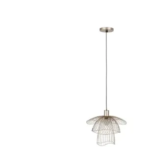 FORESTIER PAPILLON XS pas cher