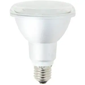 XanLite Ampoule SMD LED PAR30, culot E27, 1000 Lumens, conso. 10,8 W  pas cher