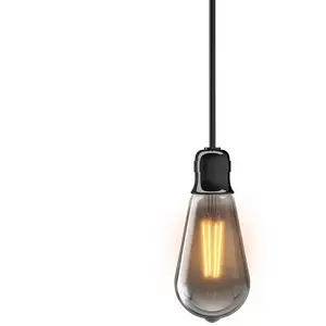 XANLITE Ampoule filament LED edison verre fumé E27 1800k pas cher